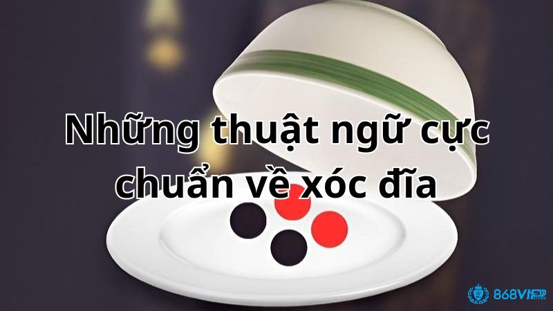 Khám phá về các thuật ngữ xóc đĩa thông dụng và phổ biến nhất