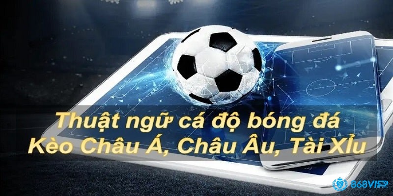 Cùng 868vip tìm hiểu các thuật ngữ cá độ bóng đá nhé!