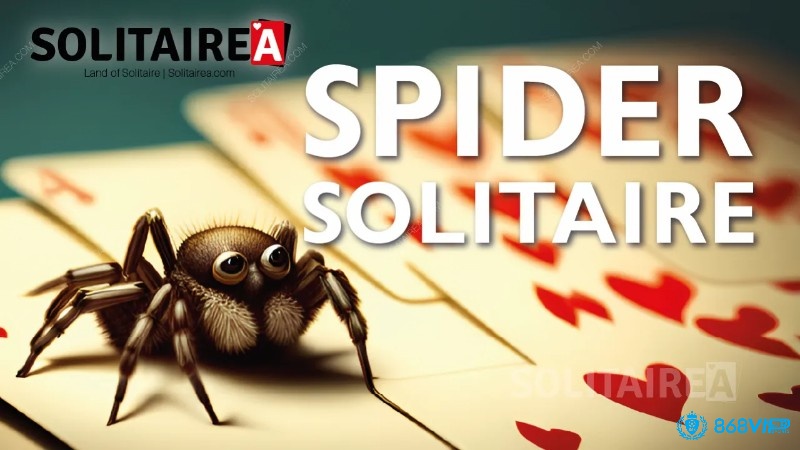 Spider Solitaire là một trong những biến thể khó hơn và được yêu thích bởi những người chơi giàu kinh nghiệm